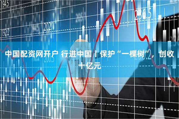 中国配资网开户 行进中国丨保护“一棵树”，创收十亿元